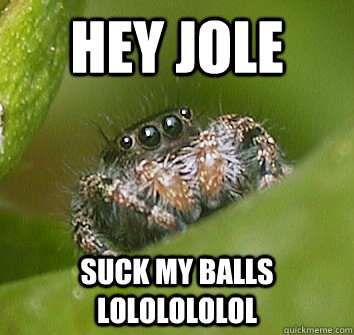 hey jole SUCK MY BALLS LOLOLOLOLOL  Misunderstood Spider