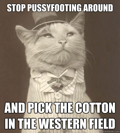 Stop pussyfooting around and pick the cotton in the western field  Aristocat