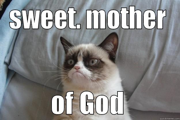 SWEET. MOTHER OF GOD Grumpy Cat