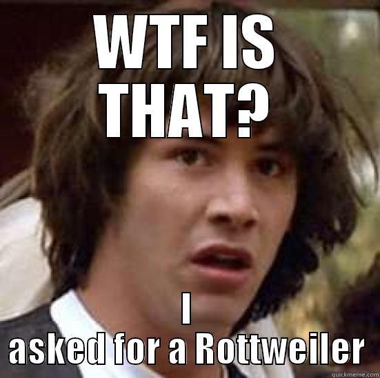 WTF IS THAT? I ASKED FOR A ROTTWEILER conspiracy keanu