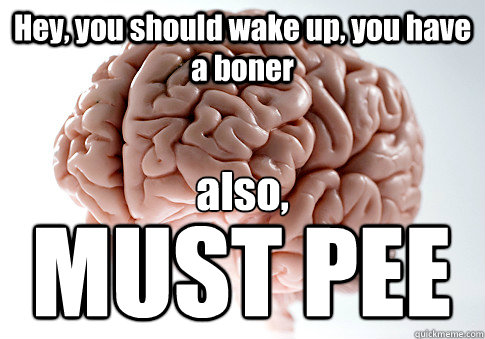 Hey, you should wake up, you have a boner also,
 MUST PEE  Scumbag Brain