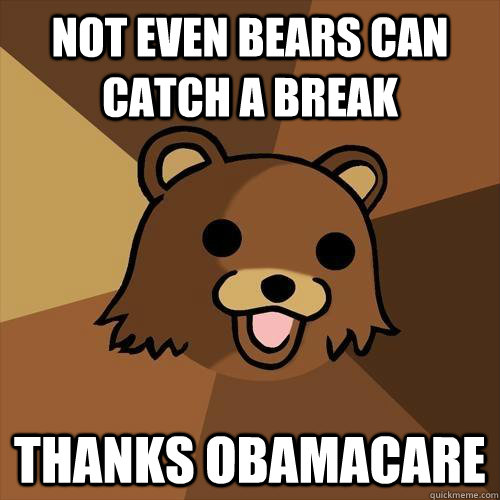 Not even bears can catch a break Thanks obamacare  Pedobear