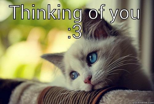 THINKING OF YOU :3  First World Problems Cat