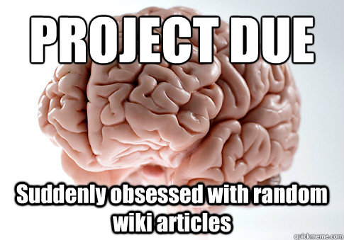 PROJECT DUE Suddenly obsessed with random wiki articles   Scumbag Brain