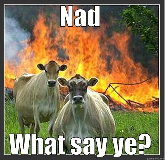 NAD WHAT SAY YE? Evil cows