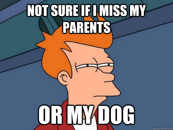 not sure if i miss my parents or my dog  Futurama Fry