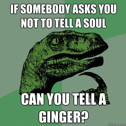 IF SOMEBODY ASKS YOU NOT TO TELL A SOUL CAN YOU TELL A GINGER?  Philosoraptor