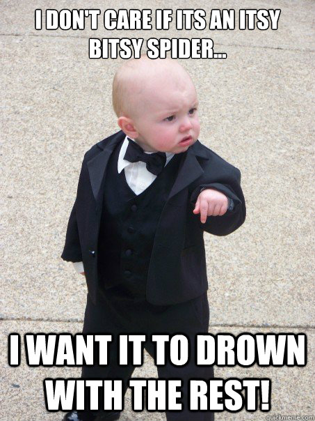 I don't care if its an itsy bitsy spider... I want it to drown with the rest!  Baby Godfather