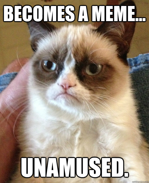 Becomes a meme... Unamused.  - Becomes a meme... Unamused.   Grumpy Cat