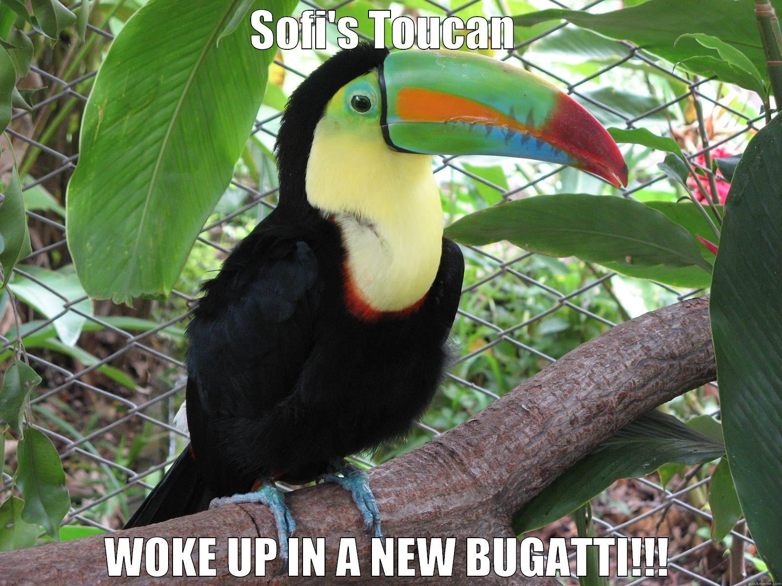 SOFI'S TOUCAN  WOKE UP IN A NEW BUGATTI!!! Misc