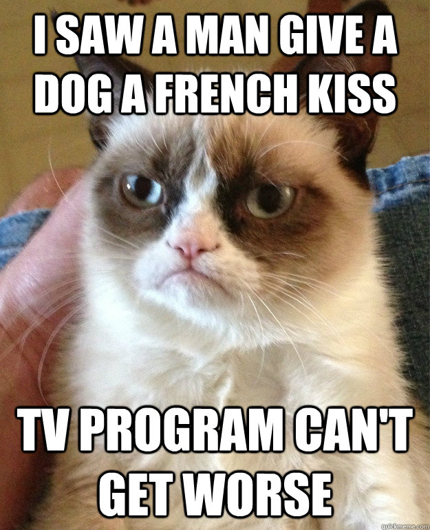 I saw a man give a dog a french kiss TV program can't get worse  Grumpy Cat