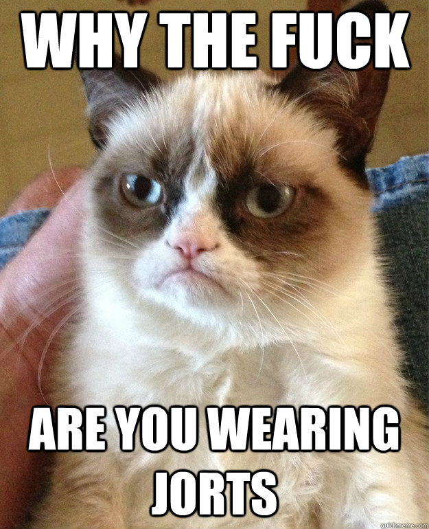 WHY THE FUCK ARE YOU WEARING JORTS  Grumpy Cat