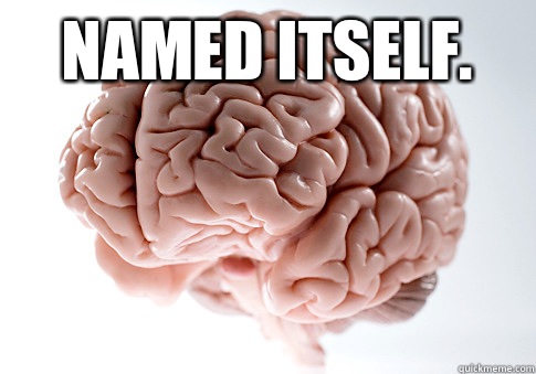 Named itself.   Scumbag Brain