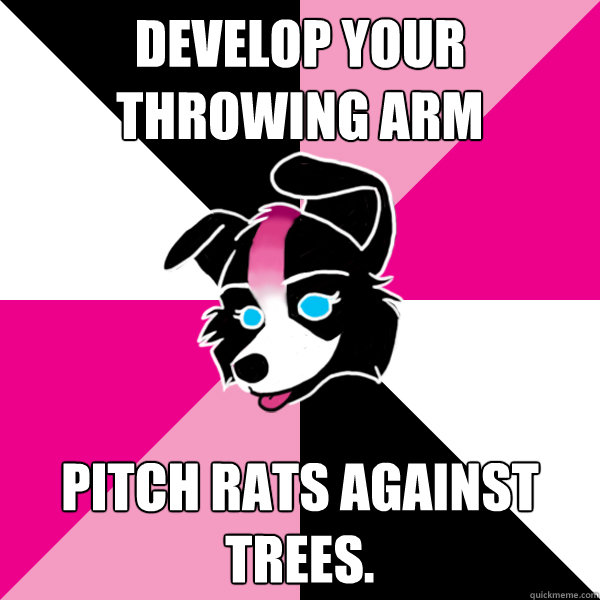 Develop your throwing arm Pitch rats against trees.  