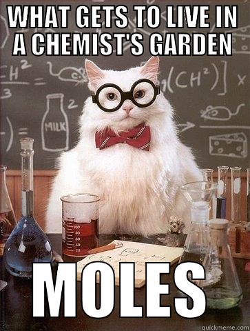 WHAT GETS TO LIVE IN A CHEMIST'S GARDEN MOLES Chemistry Cat