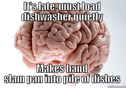 Clumsy bastard - IT'S LATE, MUST LOAD DISHWASHER QUIETLY MAKES HAND SLAM PAN INTO PILE OF DISHES Scumbag Brain