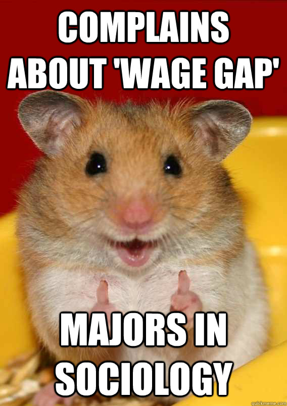 complains about 'wage gap' MAjors in Sociology  Caption 4 goes here - complains about 'wage gap' MAjors in Sociology  Caption 4 goes here  Rationalization Hamster