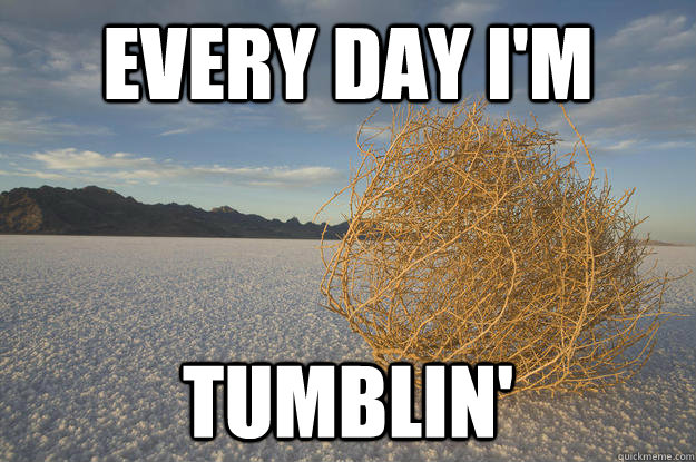 Every day I'm  Tumblin'  Tumbleweed meme