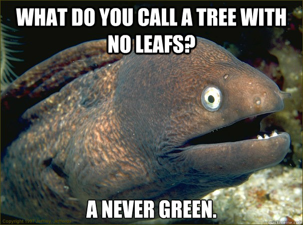 What do you call a tree with no leafs? A never green.  Bad Joke Eel