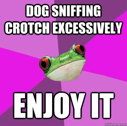 Dog sniffing crotch excessively  enjoy it - Dog sniffing crotch excessively  enjoy it  Foul Bachelorette Frog