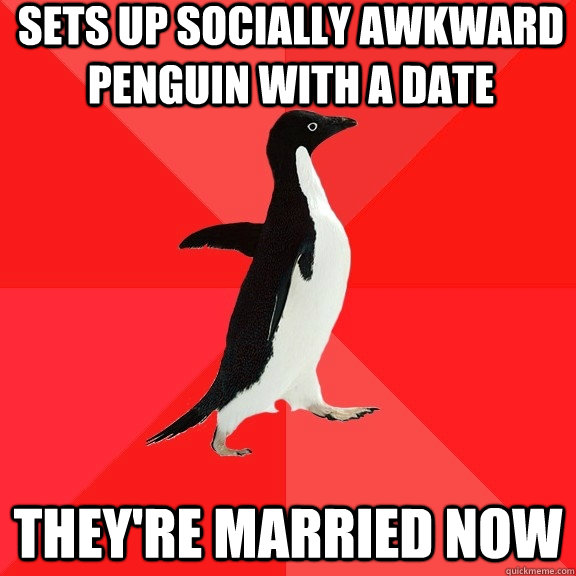 Sets up socially awkward penguin with a date they're married now  Socially Awesome Penguin