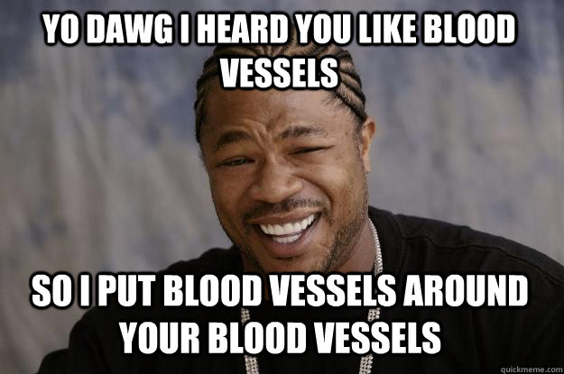 Yo Dawg I heard you like blood vessels So I put blood vessels around your blood vessels   Xzibit meme