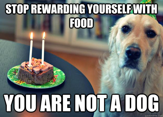 Stop rewarding yourself with food you are not a dog  Sad Birthday Dog