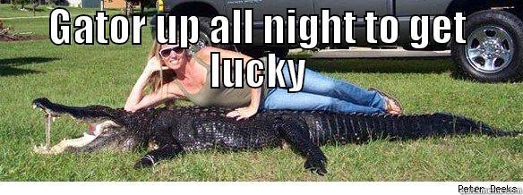 GATOR UP ALL NIGHT TO GET LUCKY  Misc