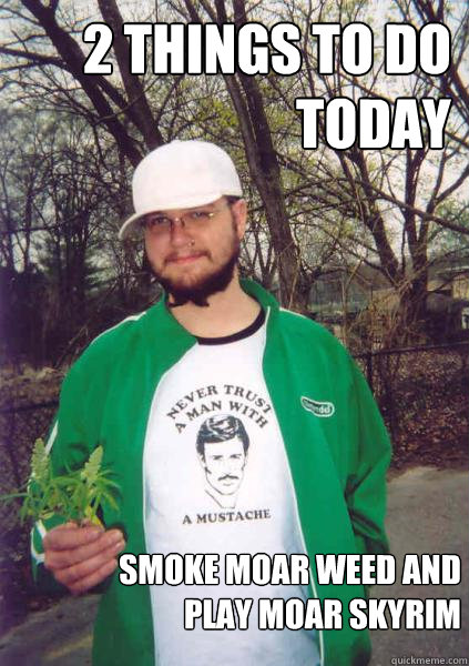 2 things to do today Smoke moar weed and play moar skyrim   Stoner