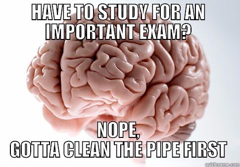 HAVE TO STUDY FOR AN IMPORTANT EXAM? NOPE, GOTTA CLEAN THE PIPE FIRST Scumbag Brain