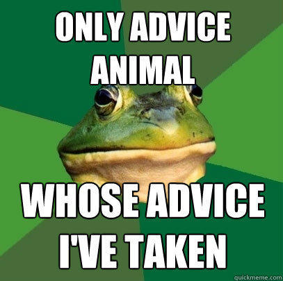 Only advice animal whose advice I've taken - Only advice animal whose advice I've taken  Foul Bachelor Frog