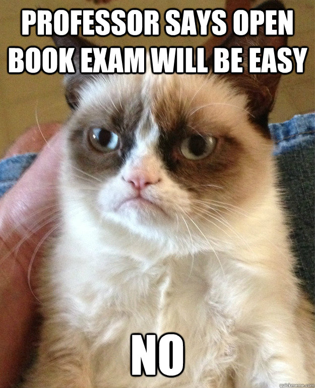 Professor says open book exam will be easy No  Grumpy Cat