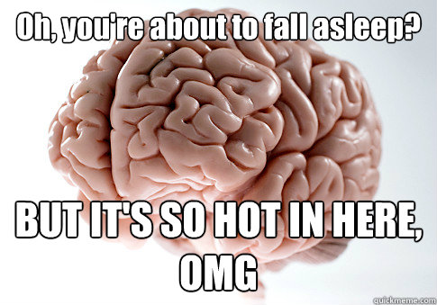 Oh, you're about to fall asleep? BUT IT'S SO HOT IN HERE, OMG   Scumbag Brain