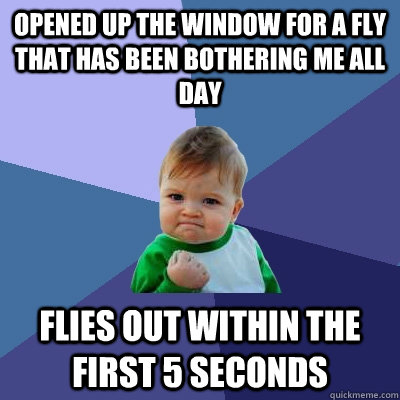 Opened up the window for a fly that has been bothering me all day flies out within the first 5 seconds - Opened up the window for a fly that has been bothering me all day flies out within the first 5 seconds  Misc