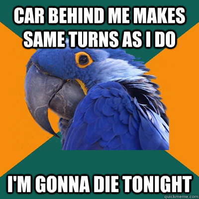 car behind me makes same turns as I do i'm gonna die tonight - car behind me makes same turns as I do i'm gonna die tonight  Paranoid Parrot