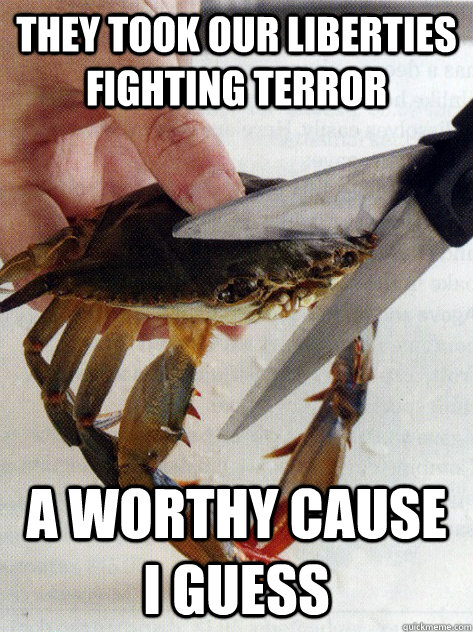 They took our liberties fighting terror a worthy cause I guess  Optimistic Crab