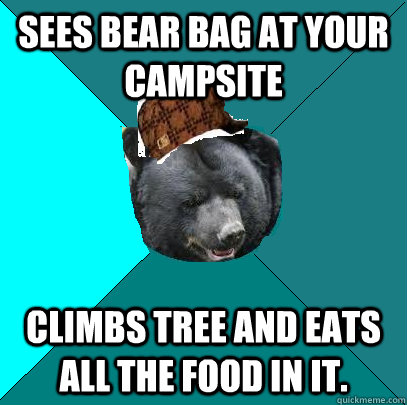 sees bear bag at your campsite climbs tree and eats all the food in it.  