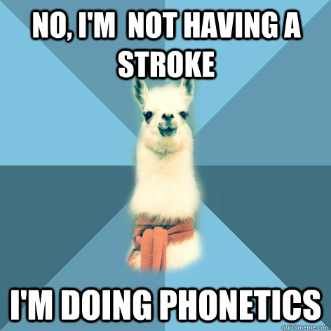 No, I'm  not having a stroke I'm doing phonetics  Linguist Llama