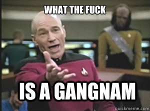 What the fuck Is a Gangnam - What the fuck Is a Gangnam  Annoyed Picard