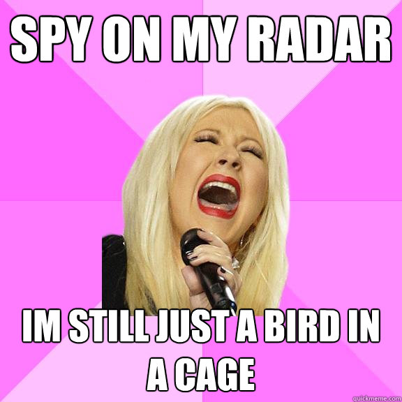 Spy on my radar I´m still just a bird in a cage  Wrong Lyrics Christina