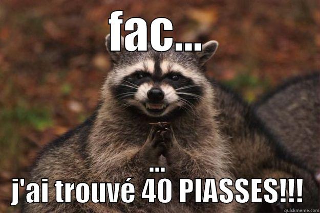 FAC... ... J'AI TROUVÉ 40 PIASSES!!! Evil Plotting Raccoon