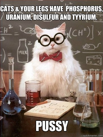 Cats & your legs have  phosphorus, uranium, disulfur and tyyrium. PUSSY  Chemistry Cat