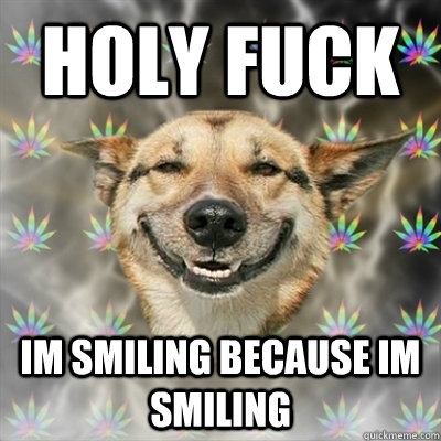 Holy fuck Im smiling because im smiling  - Holy fuck Im smiling because im smiling   Stoner Dog