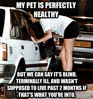 My pet is perfectly healthy BUT WE CAN SAY IT's blind, terminally ill, and wasn't supposed to live past 2 months if that's what you're into.  Karma Whore