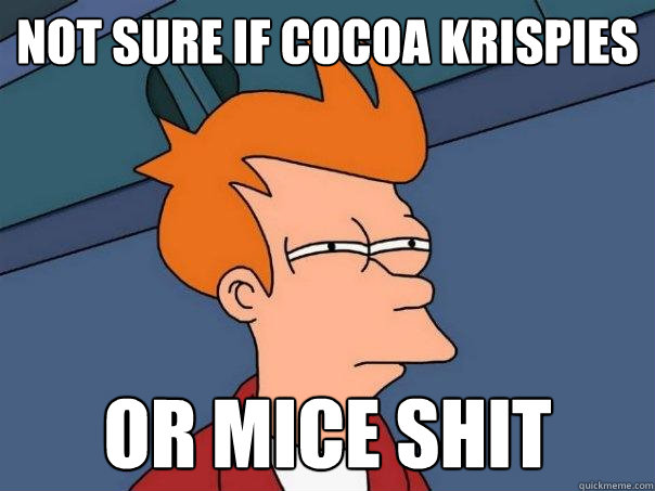 not sure if cocoa krispies or mice shit - not sure if cocoa krispies or mice shit  Futurama Fry