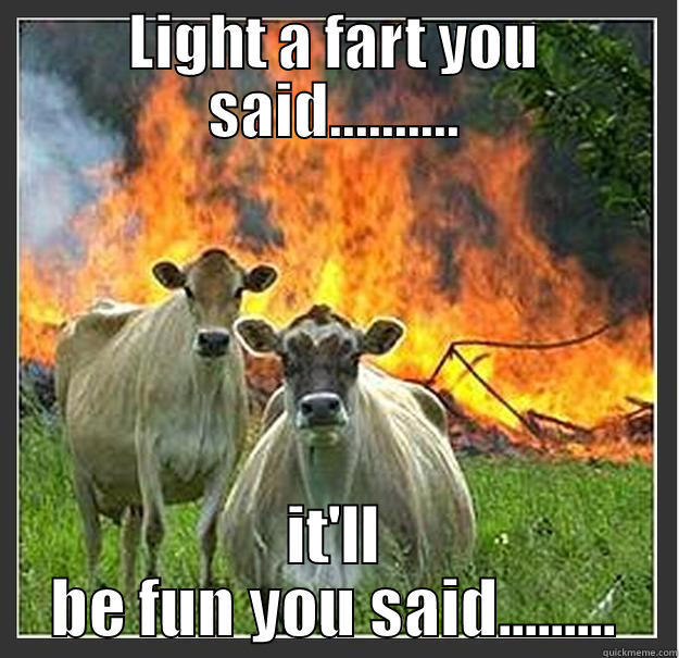 you stupid cow !!!!!! - LIGHT A FART YOU SAID.......... IT'LL BE FUN YOU SAID......... Evil cows