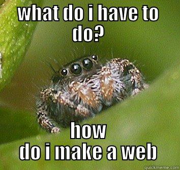 WHAT DO I HAVE TO DO? HOW DO I MAKE A WEB Misunderstood Spider