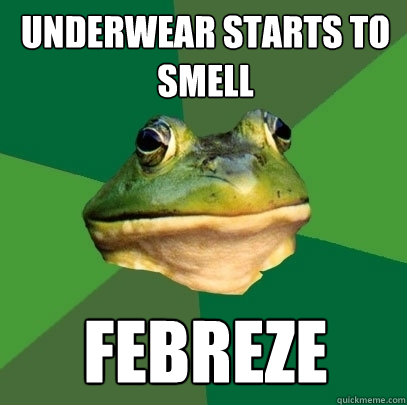 underwear starts to smell febreze - underwear starts to smell febreze  Foul Bachelor Frog