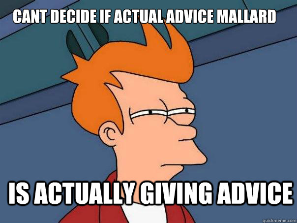 Cant decide if actual advice mallard is actually giving advice - Cant decide if actual advice mallard is actually giving advice  Futurama Fry