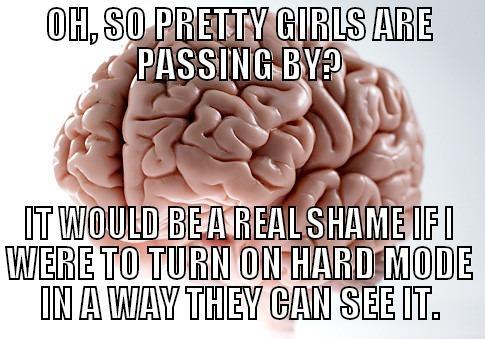 OH, SO PRETTY GIRLS ARE PASSING BY? IT WOULD BE A REAL SHAME IF I WERE TO TURN ON HARD MODE IN A WAY THEY CAN SEE IT. Scumbag Brain